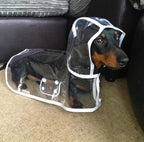 Dog Raincoat | Transparent & Waterproof | Adjustable Belly Strap