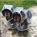 Dog Raincoat | Transparent & Waterproof | Adjustable Belly Strap
