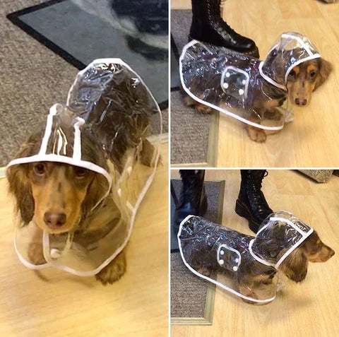 Dog Raincoat | Transparent & Waterproof | Adjustable Belly Strap
