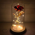 Eternal Rose | 24K Gold Leaf & Warm LED | In Glass Bell Jar