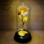 Eternal Rose | 24K Gold Leaf & Warm LED | In Glass Bell Jar