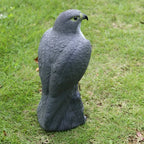 Falcon Decoy | Realistic Raptor Design & Weather-Resistant PE Resin