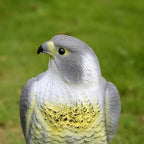 Falcon Decoy | Realistic Raptor Design & Weather-Resistant PE Resin
