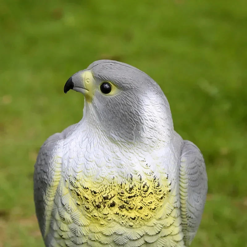 Falcon Decoy | Realistic Raptor Design & Weather-Resistant PE Resin