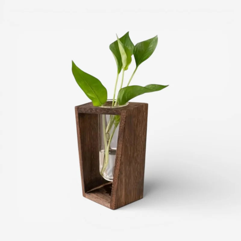 Flower Vase | Tubular Glass Tube & Wood Stand