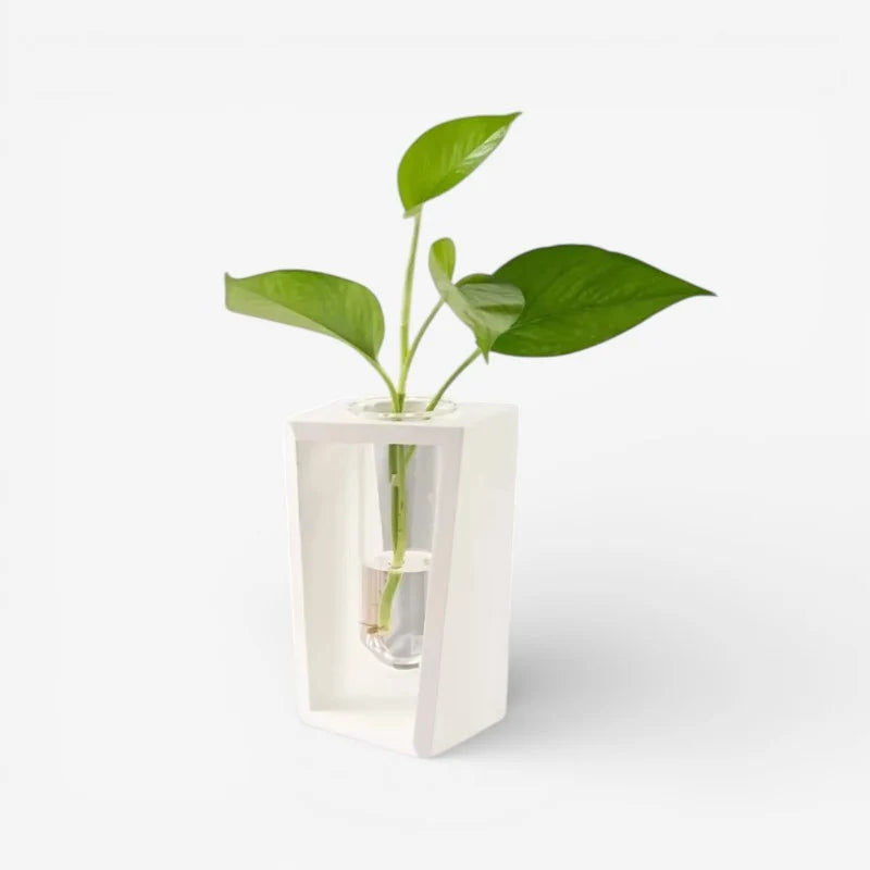 Flower Vase | Tubular Glass Tube & Wood Stand