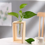 Flower Vase | Tubular Glass Tube & Wood Stand