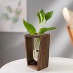 Flower Vase | Tubular Glass Tube & Wood Stand