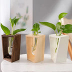 Flower Vase | Tubular Glass Tube & Wood Stand