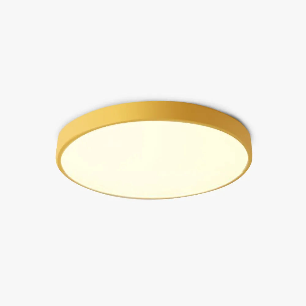 Flush Mount Ceiling Light | Round Dimmable LED | Multicolor