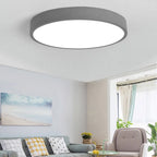 Flush Mount Ceiling Light | Round Dimmable LED | Multicolor