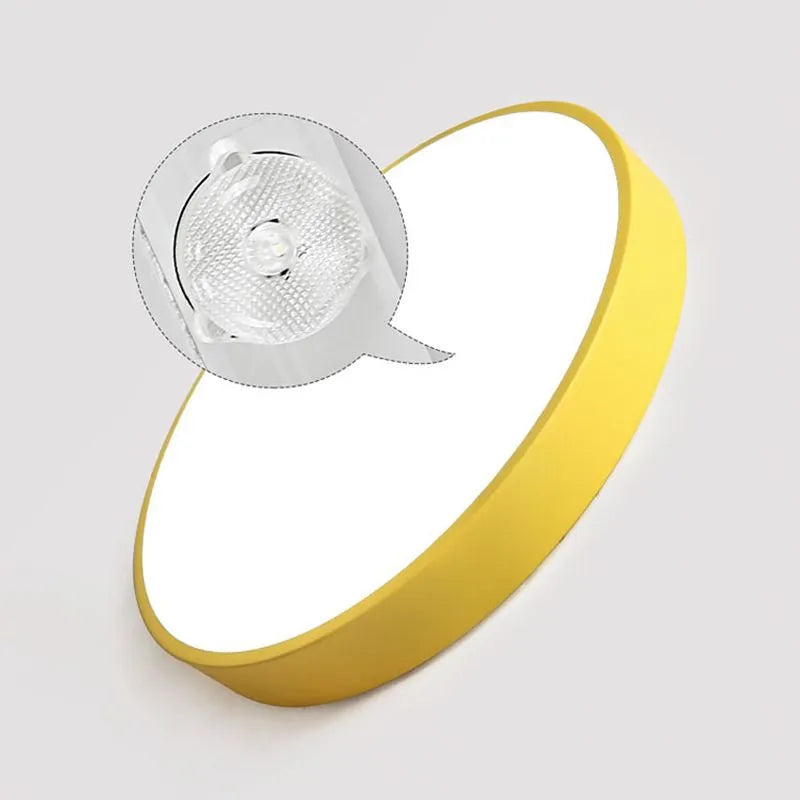 Flush Mount Ceiling Light | Round Dimmable LED | Multicolor