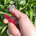 Fruit & Vegetable Picker | Stainless Steel & Long Reach