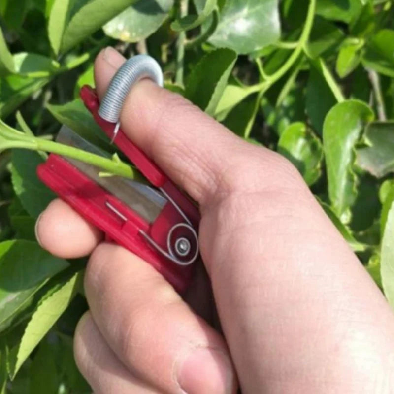 Fruit & Vegetable Picker | Stainless Steel & Long Reach