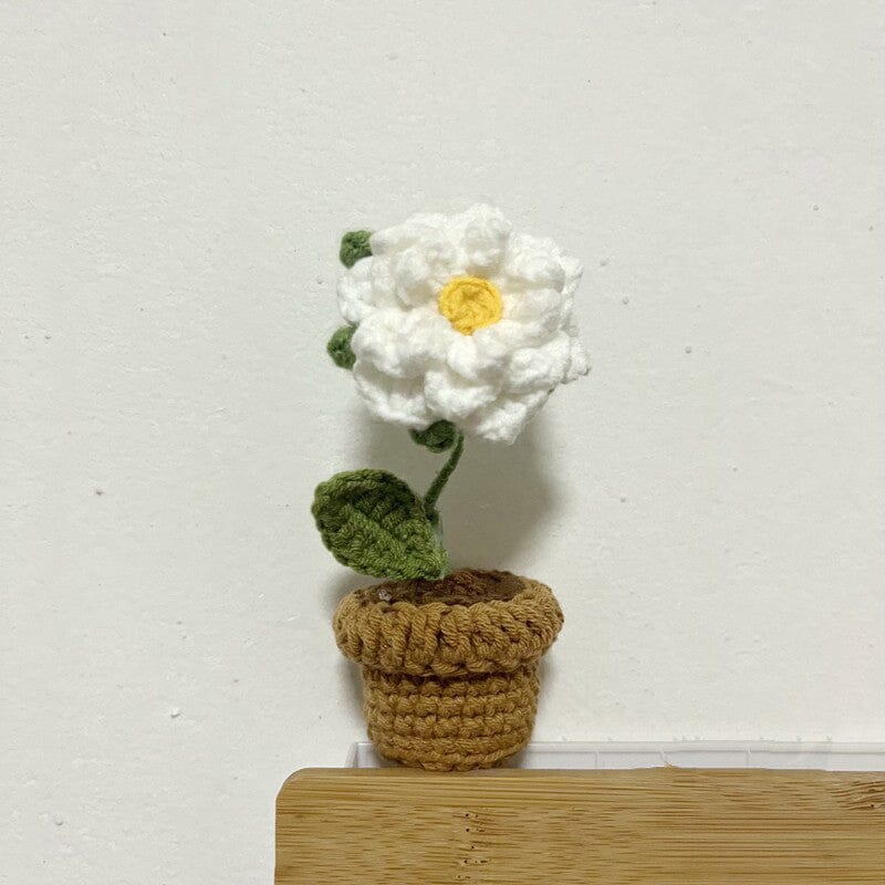 Handcrafted Knitted Flower | Cotton-Blend & Everlasting | 4 cm Pot