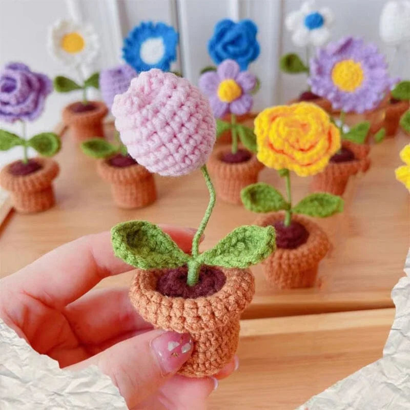 Handcrafted Knitted Flower | Cotton-Blend & Everlasting | 4 cm Pot
