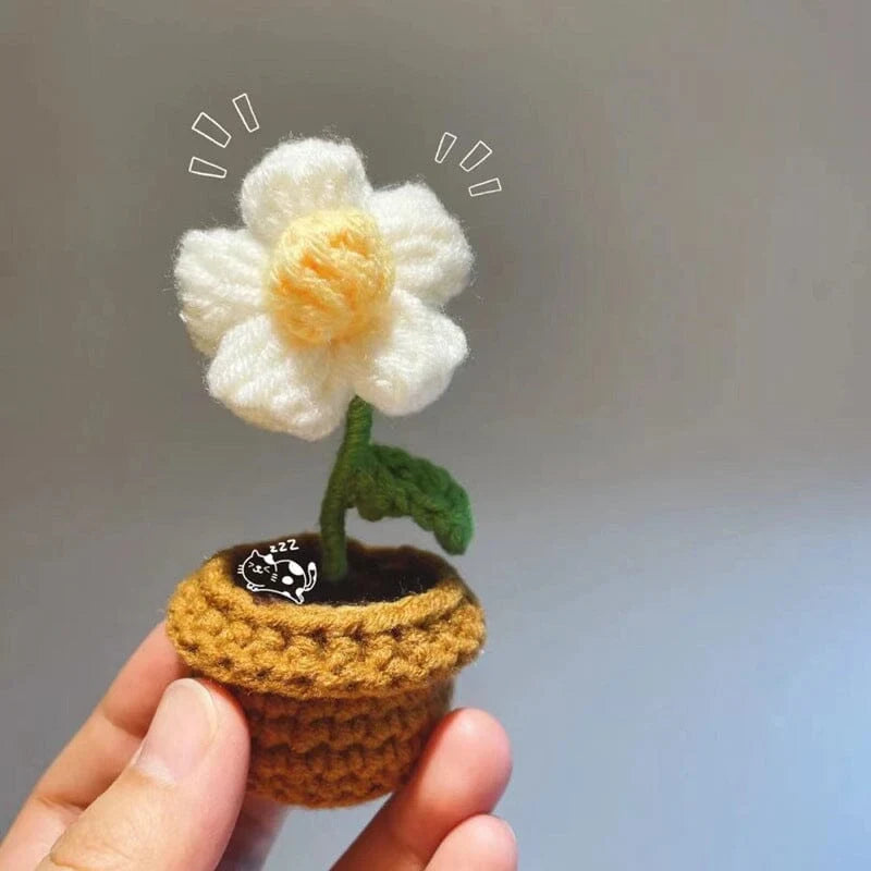 Handcrafted Knitted Flower | Cotton-Blend & Everlasting | 4 cm Pot