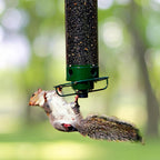 Hanging Bird Feeder | Squirrel-Proof Spinning Perch & Metal | 4 Feeding Ports