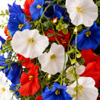 Hanging Flower Basket | Integrated LED Lighting & Silk Flowers | Indoor & Outdoor