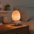 Himalayan Salt Lamp | Warm & Soothing Glow | Plug-In Night Light