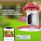 Hummingbird Feeder | 1080P Wide-Angle Camera & Wi-Fi