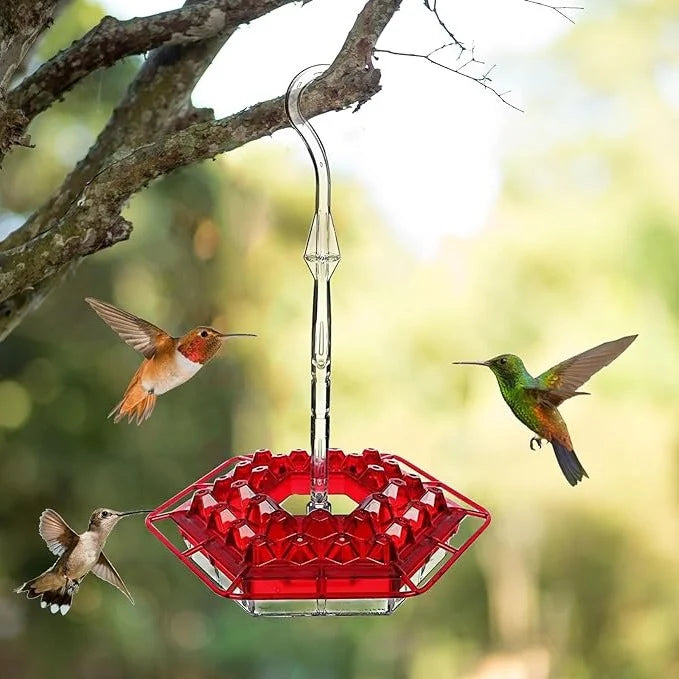 Hummingbird Feeder | Ant-Proof & Leak-Proof | 30 Feeding Ports