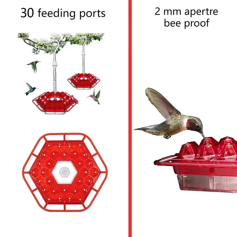 Hummingbird Feeder | Ant-Proof & Leak-Proof | 30 Feeding Ports