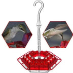 Hummingbird Feeder | Ant-Proof & Leak-Proof | 30 Feeding Ports