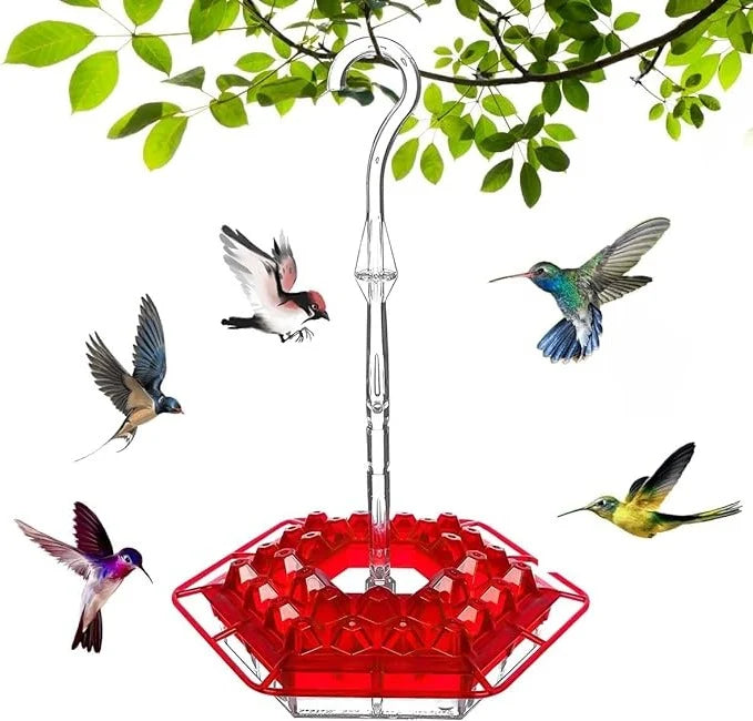 Hummingbird Feeder | Ant-Proof & Leak-Proof | 30 Feeding Ports