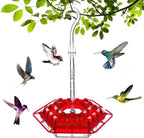 Hummingbird Feeder | Ant-Proof & Leak-Proof | 30 Feeding Ports