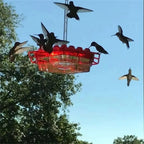 Hummingbird Feeder | Ant-Proof & Leak-Proof | 30 Feeding Ports