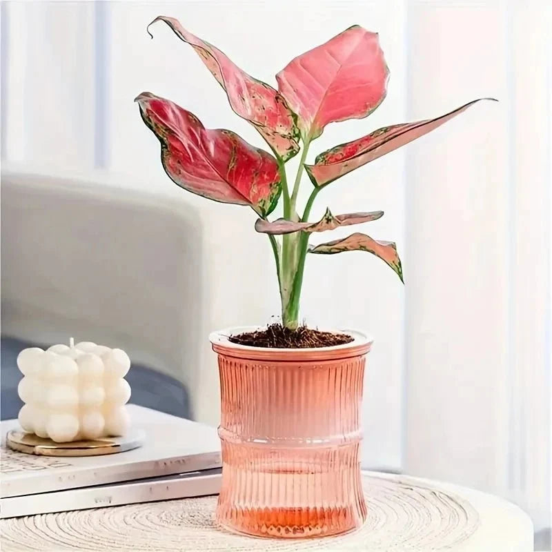 Indoor Planter | Self-Watering Double-Wall & Eco-Friendly
