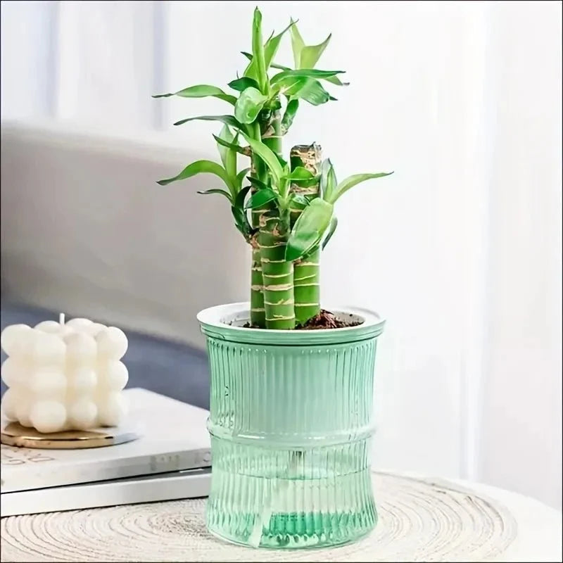 Indoor Planter | Self-Watering Double-Wall & Eco-Friendly