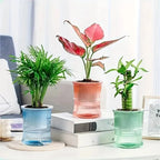 Indoor Planter | Sustainable Self-Watering & Double-Walled