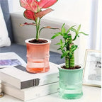 Indoor Planter | Sustainable Self-Watering & Double-Walled