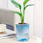 Indoor Planter | Sustainable Self-Watering & Double-Walled