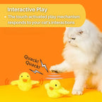 Interactive Cat Toy | Fluttering Wings & Quacking Sound | Rechargeable