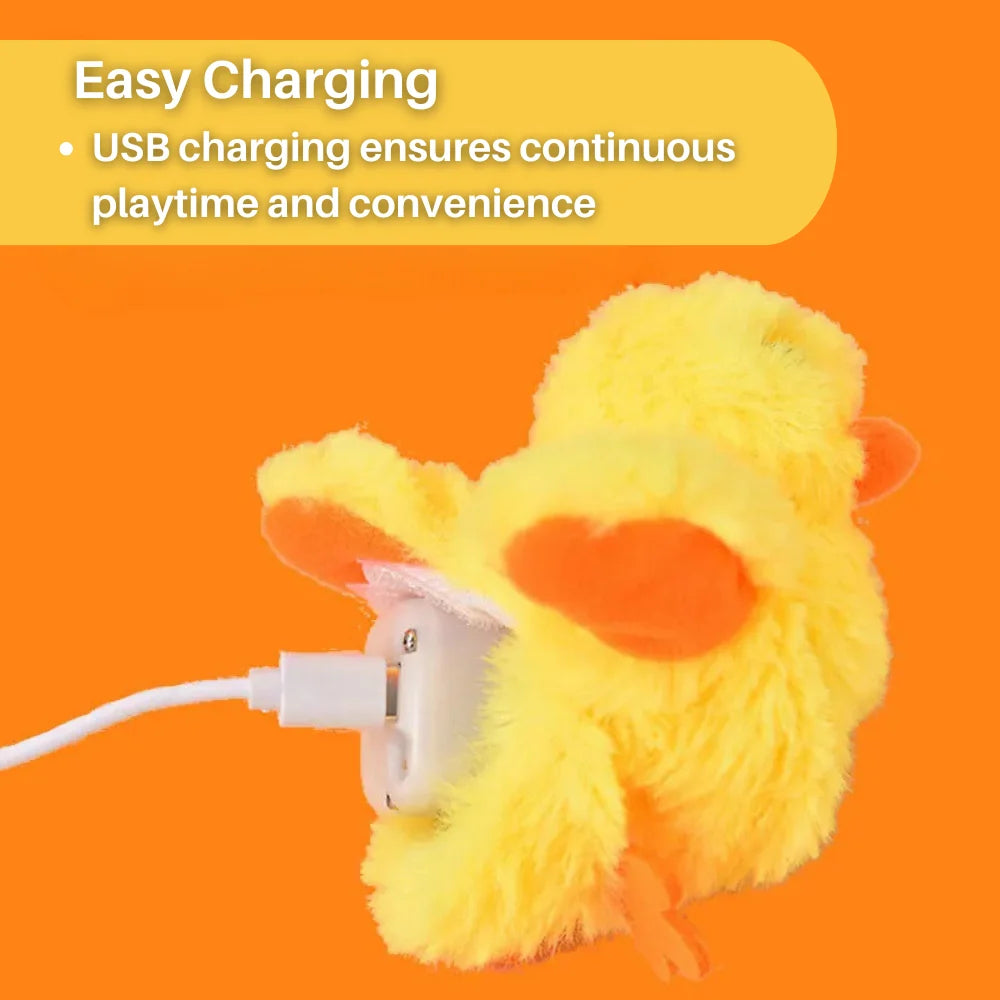 Interactive Cat Toy | Fluttering Wings & Quacking Sound | Rechargeable