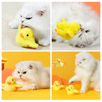 Interactive Cat Toy | Fluttering Wings & Quacking Sound | Rechargeable