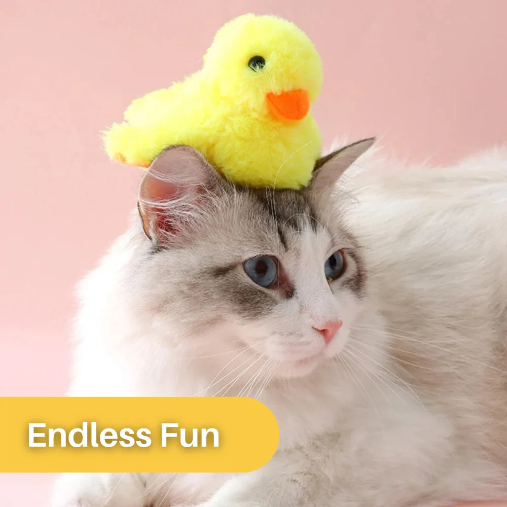 Interactive Cat Toy | Fluttering Wings & Quacking Sound | Rechargeable