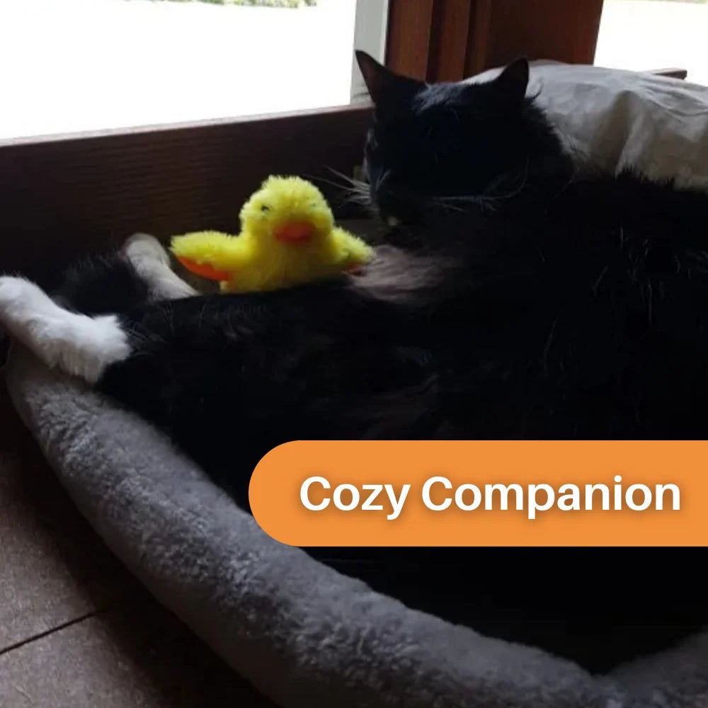 Interactive Cat Toy | Fluttering Wings & Quacking Sound | Rechargeable