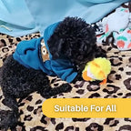 Interactive Cat Toy | Fluttering Wings & Quacking Sound | Rechargeable