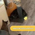 Interactive Cat Toy | Fluttering Wings & Quacking Sound | Rechargeable