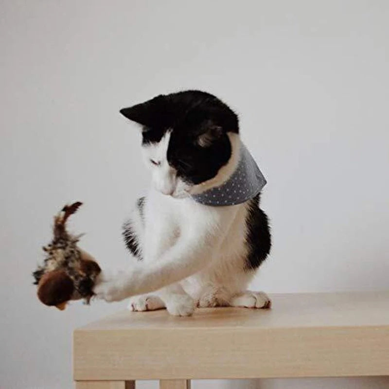 Interactive Cat Toy | Realistic Chirp & Motion | Rechargeable