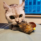 Interactive Cat Toy | Realistic Chirp & Motion | Rechargeable