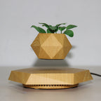 Levitating Plant Pot | Magnetic Levitation & 360° Rotation