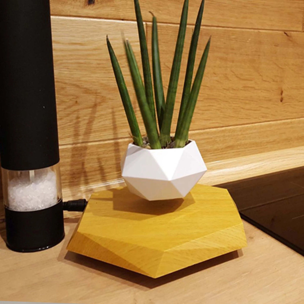 Levitating Plant Pot | Magnetic Levitation & 360° Rotation