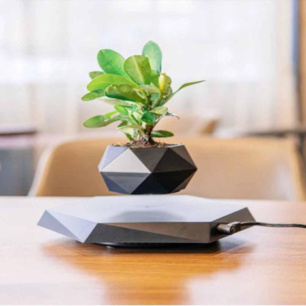 Levitating Plant Pot | Magnetic Levitation & 360° Rotation