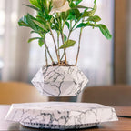 Levitating Plant Pot | Magnetic Levitation & 360° Rotation