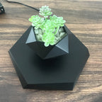 Levitating Plant Pot | Magnetic Levitation & 360° Rotation